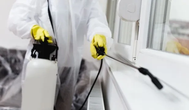 Anti-nuisibles d’urgence